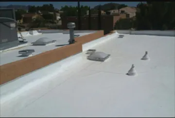 Commerical Roof Replace and Repair